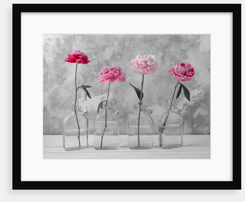 Peonies in glass bottles by Assaf Frank